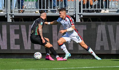 What's a Bingo Game?